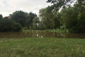 Unique wedding venue