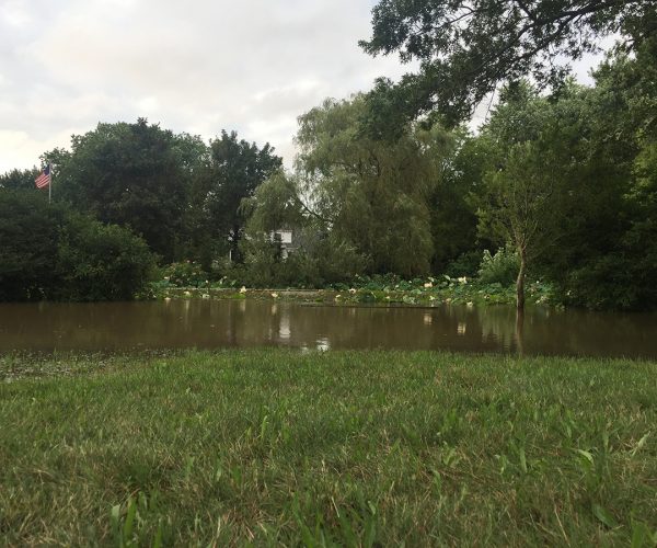 Unique wedding venue