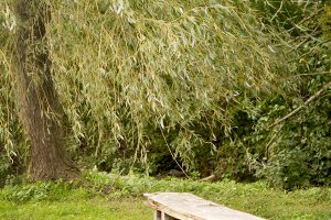 unique wedding venue long island