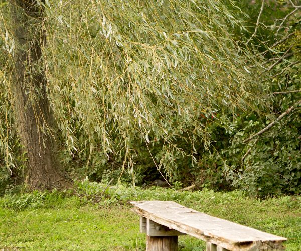 unique wedding venue long island