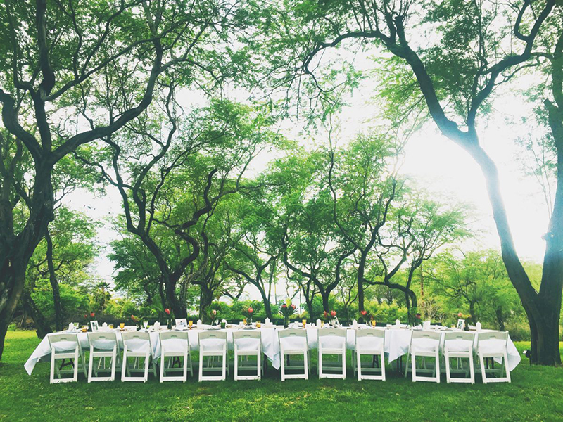 lotus pond feature unique wedding venue