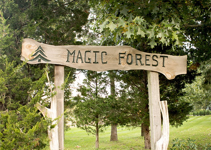 The magic forest rustic wedding venue