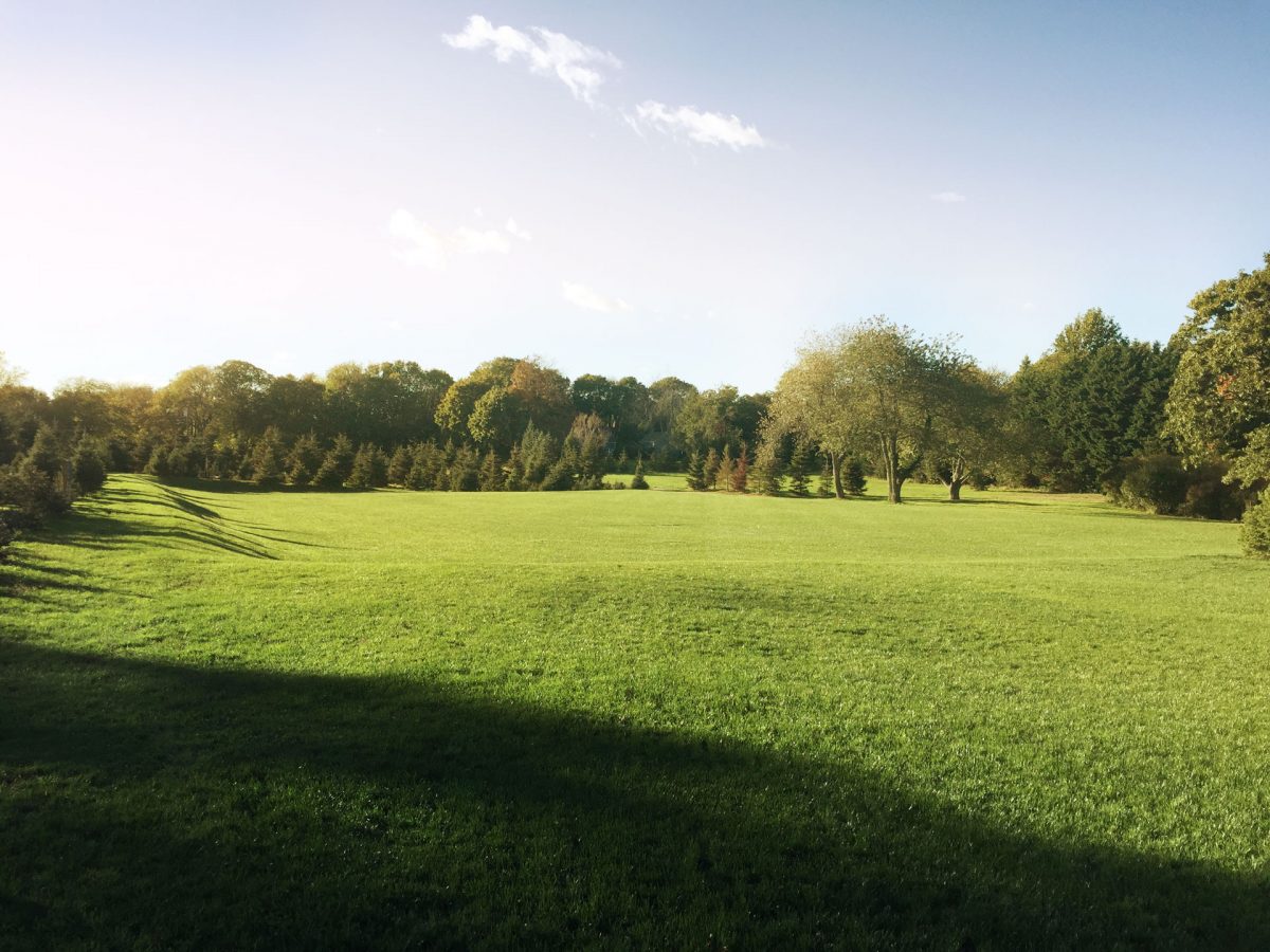 The Great Lawn Historic Venue For Weddings and Special Events