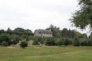 The great lawn outdoor party venues