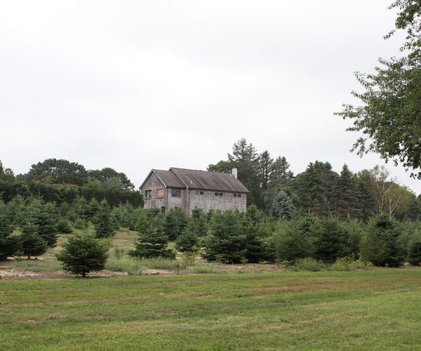 The great lawn outdoor party venues